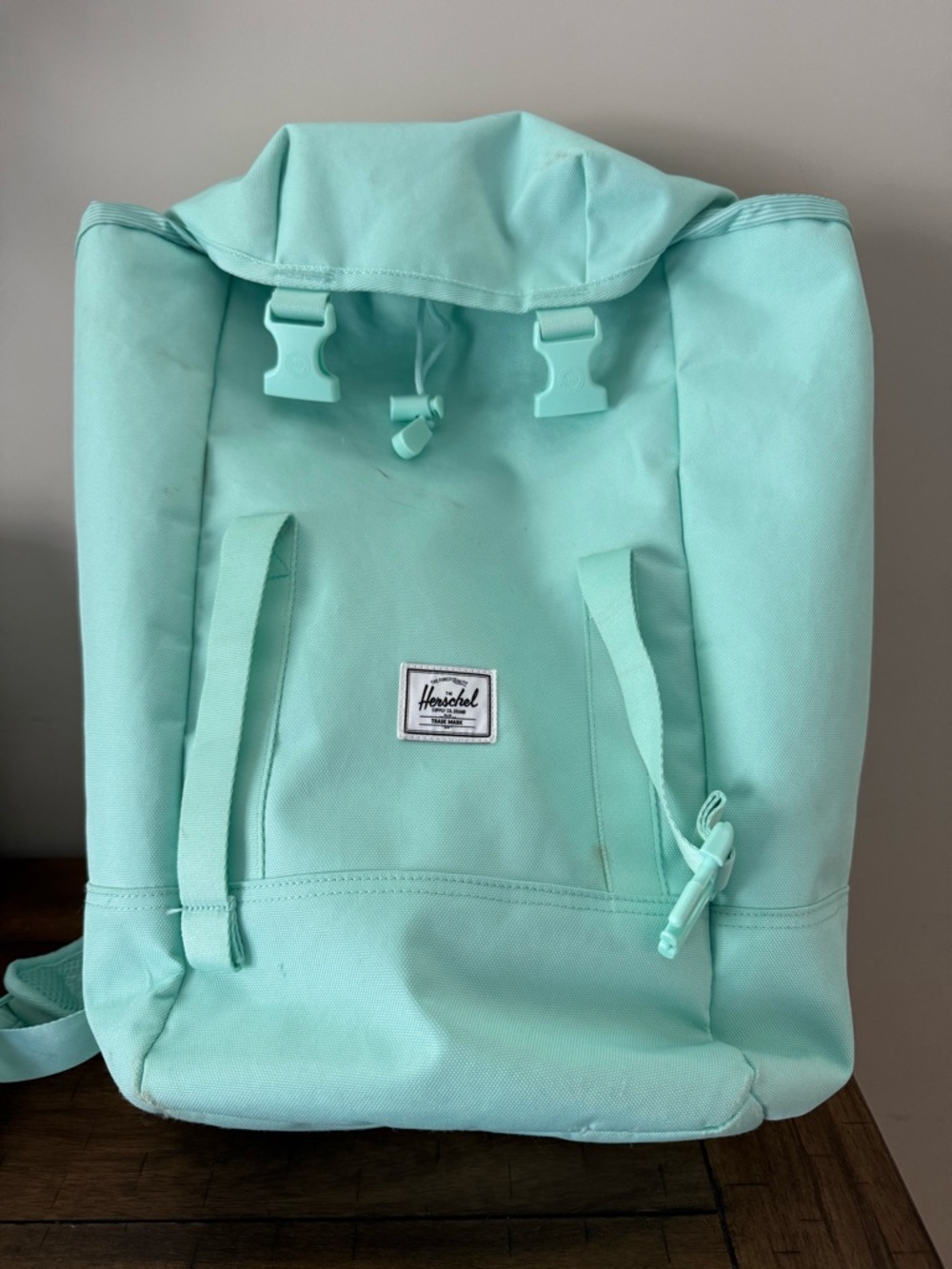 Herschel Supply Company Mint Green Kids Backpack